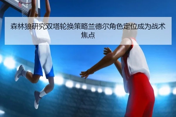 森林狼研究双塔轮换策略兰德尔角色定位成为战术焦点